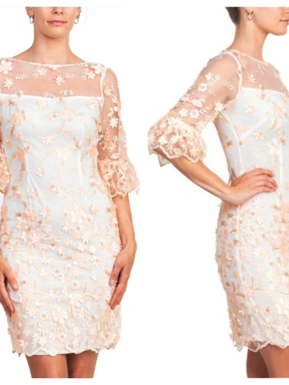 NEW ADRIANNA PAPELL Size 4 Illusion Boat Neck 3D Embroidered Sheath Dress blush